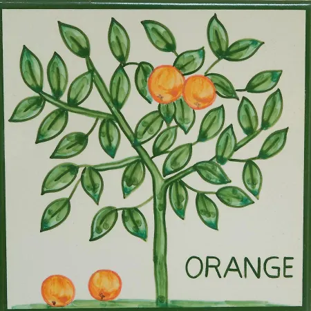 Cristo - Orange *